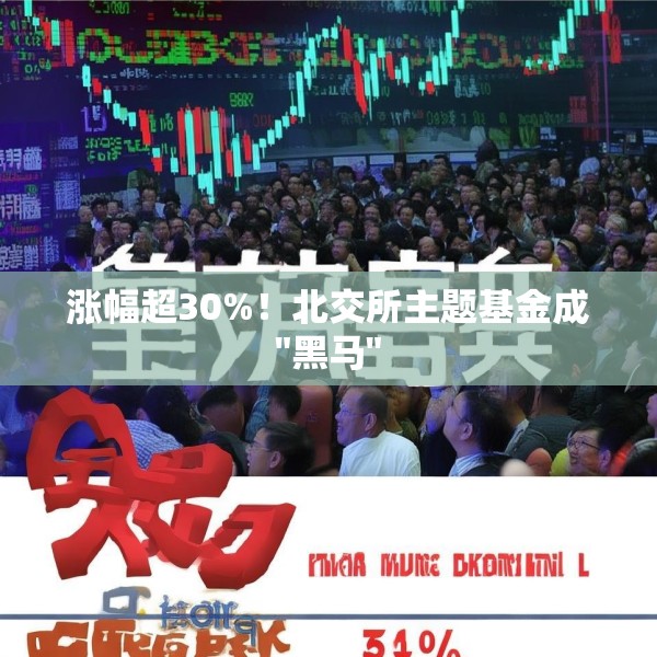 涨幅超30%！北交所主题基金成