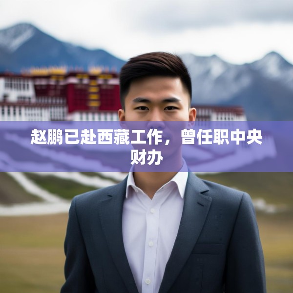 赵鹏已赴西藏工作，曾任职中央财办