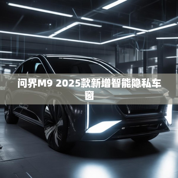 问界M9 2025款新增智能隐私车窗