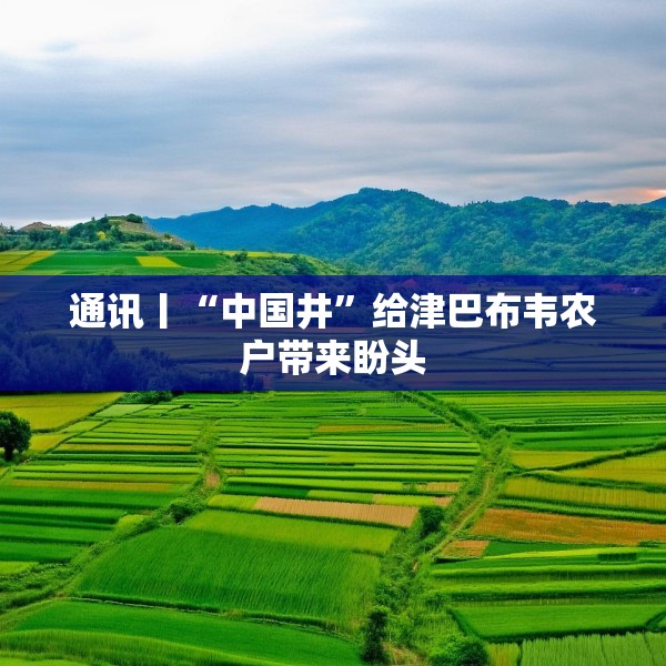 通讯丨“中国井”给津巴布韦农户带来盼头