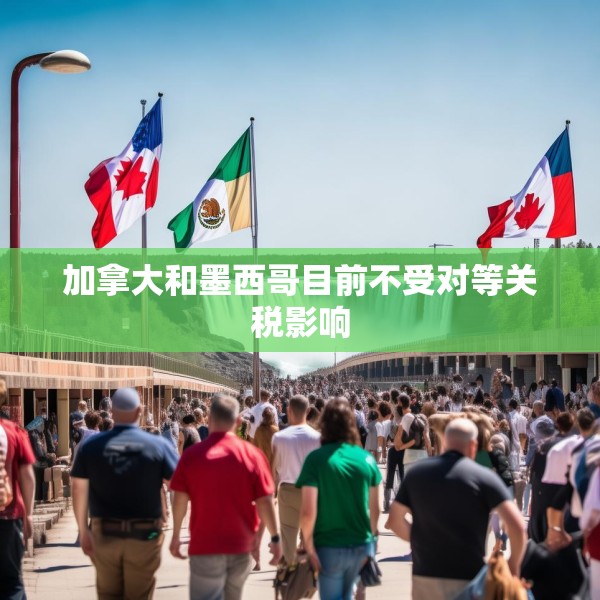 加拿大和墨西哥目前不受对等关税影响
