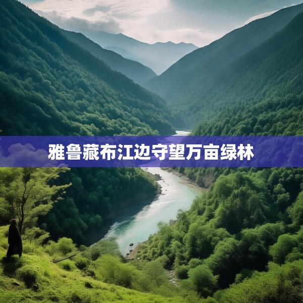 雅鲁藏布江边守望万亩绿林