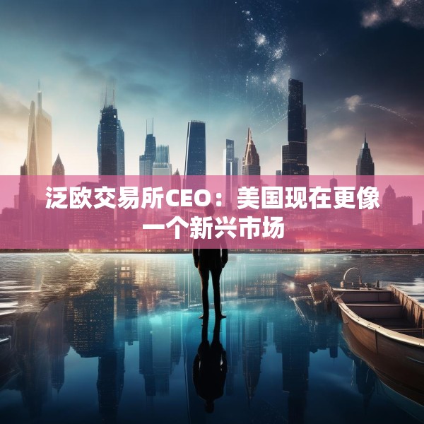 泛欧交易所CEO：美国现在更像一个新兴市场