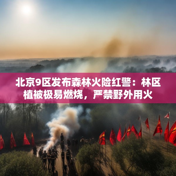 2025年4月11日 第12页