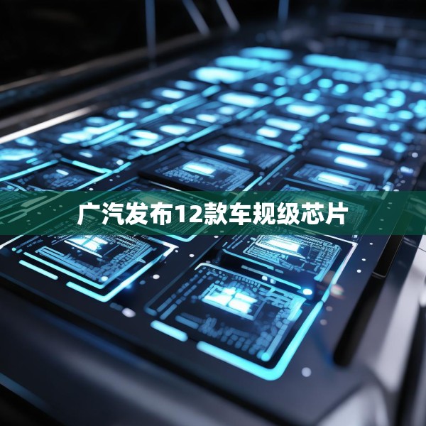广汽发布12款车规级芯片