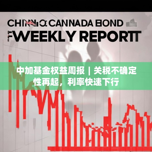 中加基金权益周报︱关税不确定性再起，利率快速下行