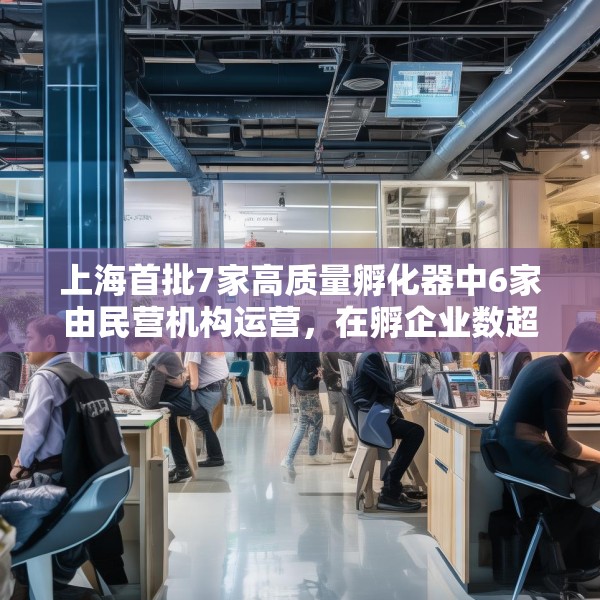 上海首批7家高质量孵化器中6家由民营机构运营，在孵企业数超200家