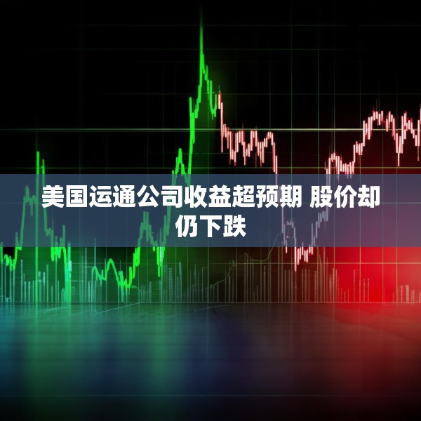 美国运通公司收益超预期 股价却仍下跌