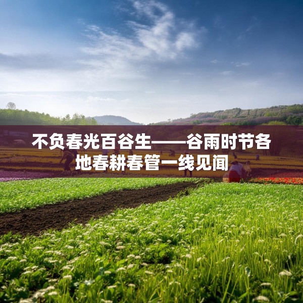 不负春光百谷生——谷雨时节各地春耕春管一线见闻