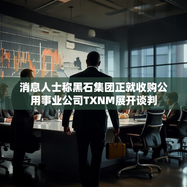 消息人士称黑石集团正就收购公用事业公司TXNM展开谈判