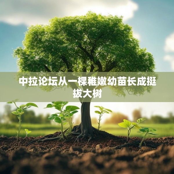 中拉论坛从一棵稚嫩幼苗长成挺拔大树