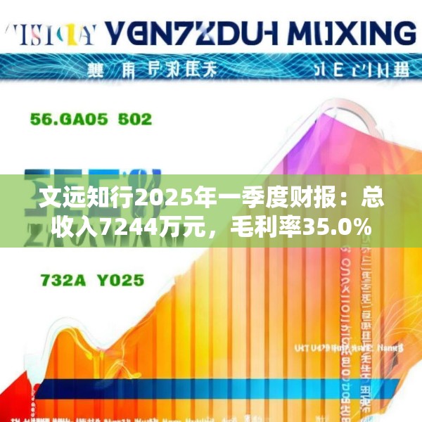 文远知行2025年一季度财报：总收入7244万元，毛利率35.0%