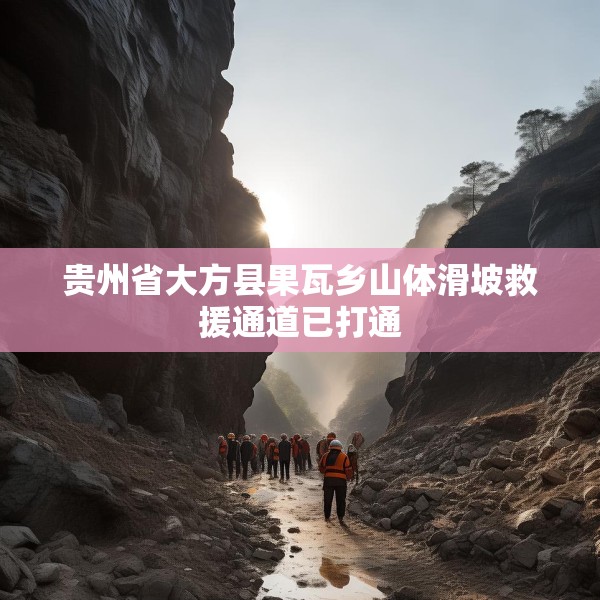 贵州省大方县果瓦乡山体滑坡救援通道已打通