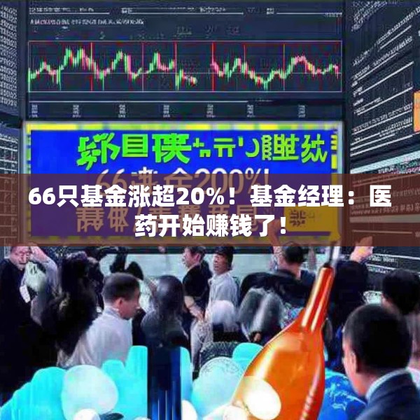 66只基金涨超20%！基金经理：医药开始赚钱了！