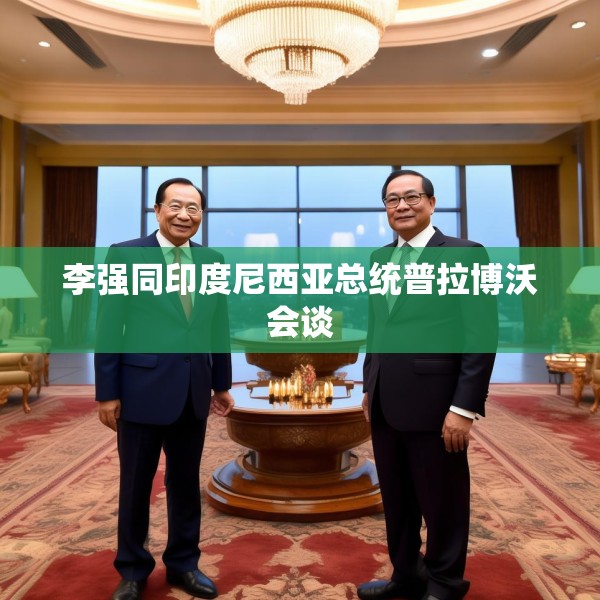 李强同印度尼西亚总统普拉博沃会谈
