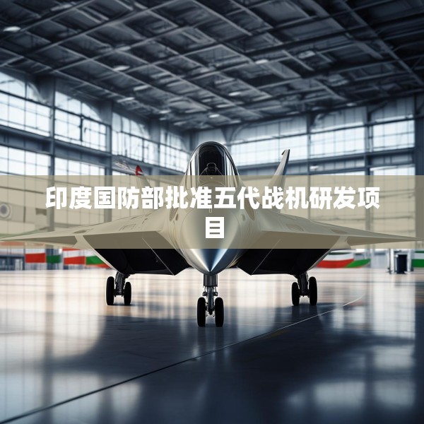 印度国防部批准五代战机研发项目