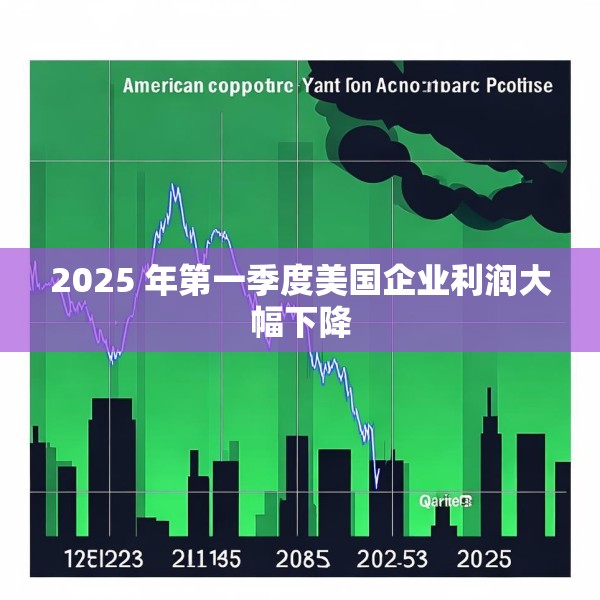 2025 年第一季度美国企业利润大幅下降