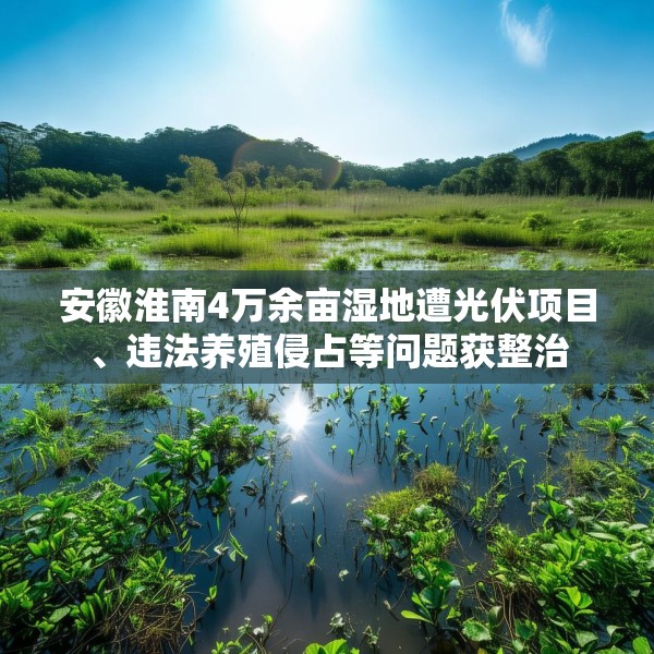 安徽淮南4万余亩湿地遭光伏项目、违法养殖侵占等问题获整治