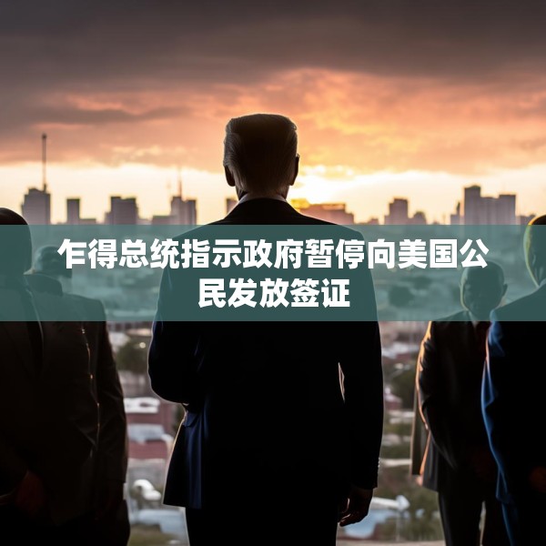 乍得总统指示政府暂停向美国公民发放签证