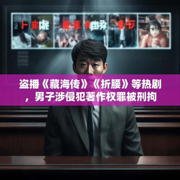 盗播《藏海传》《折腰》等热剧，男子涉侵犯著作权罪被刑拘
