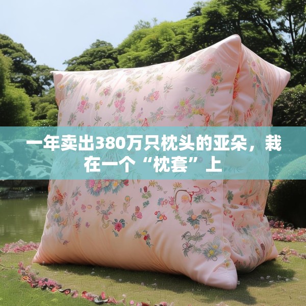 一年卖出380万只枕头的亚朵，栽在一个“枕套”上
