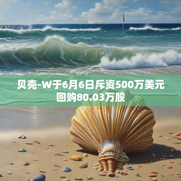 贝壳-W于6月6日斥资500万美元回购80.03万股