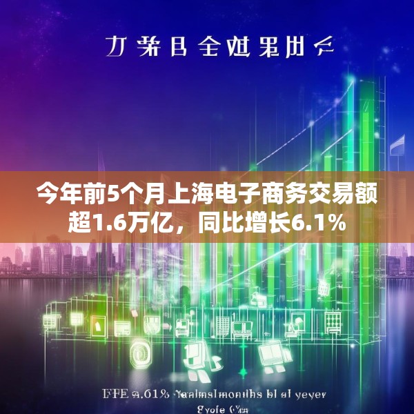 今年前5个月上海电子商务交易额超1.6万亿，同比增长6.1%